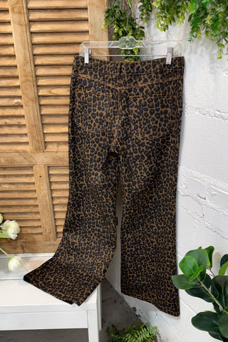 In Pursuit Pants Coffee by Gigio Pants Gigio