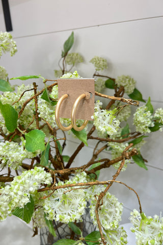 Bound Earrings Gold Earrings SM Style