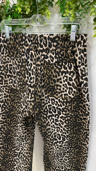 Jungle Jane Pants Taupe by Umgee