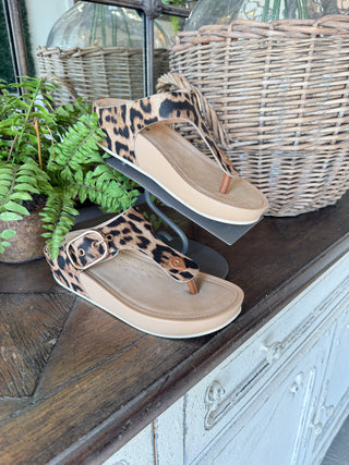 Rhodes Sandal Leopard Sandal Good Choice