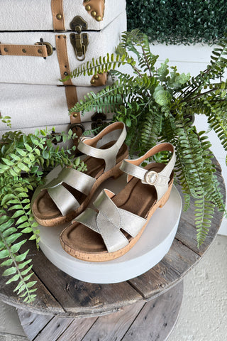 Capri Sandals Platino by Sofft Shoes Sofft