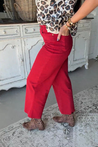 Tucker Pants Red Velvet by Easel Pants Easel