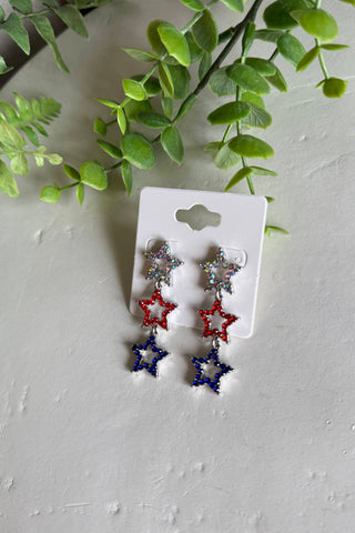 Land of the Free Earrings Earrings Chic Cool