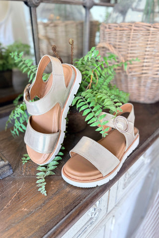 Gweneth Sandals Platino by Sofft Sandal Sofft