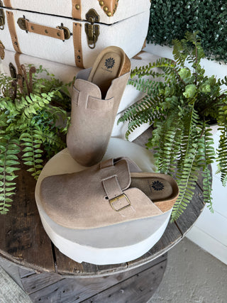 Maire Clogs Dk Taupe by Yellow Box Shoes Yellow Box