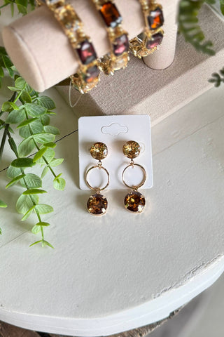 Imagine Earrings Brown