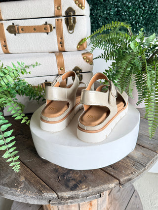 Gweneth Sandals Platino by Sofft Sandal Sofft
