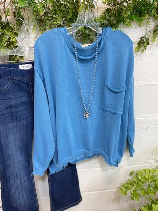 Positively Blue Jay by Easel sweater Easel