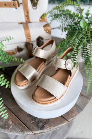 Gweneth Sandals Platino by Sofft Sandal Sofft