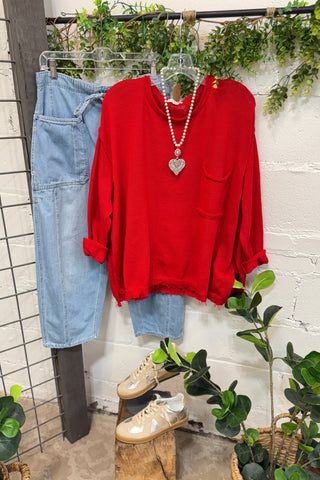 Positively Blue Jay by Easel sweater Easel