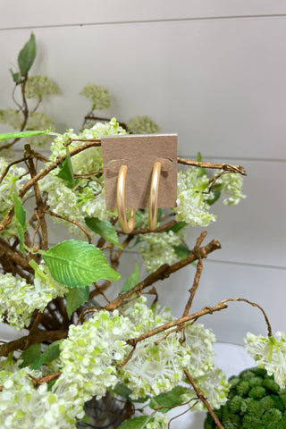 Bound Earrings Gold Earrings SM Style