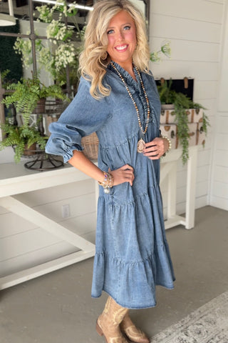 Cove Denim Dress by Easel Dresses Easel