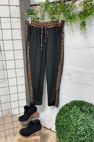 Gone Wild Pants Black Pants Sunflower