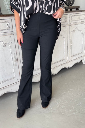 Royalty Hollywood Bootcut Pant