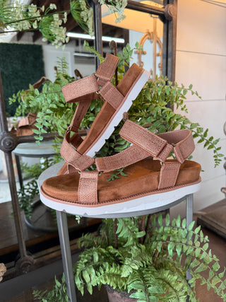 Quinn 3 Sandals Bronze Sandal Pierre Dumas