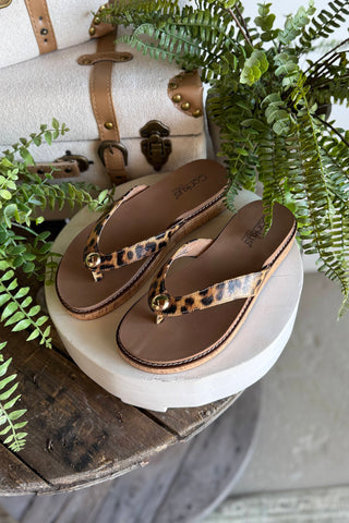 Off the Deep End Leopard by Corky's