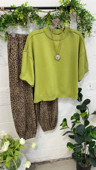 Nichols Sweater Green Sweater Glam