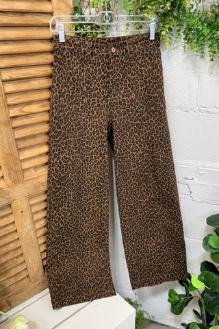 Apex Pants Brown by Entro Pants Entro