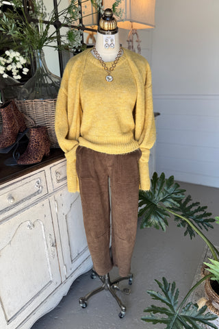 Alexia Pants Brown Pants Yelete