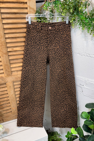 Apex Pants Brown by Entro Pants Entro