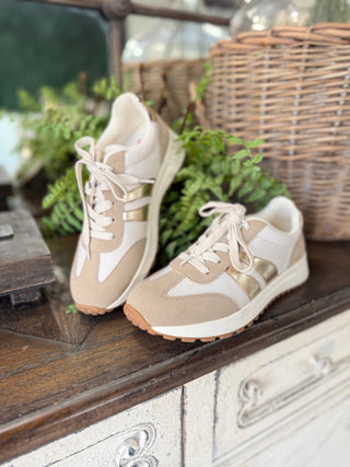 Emerie Sneakers Gold Multi Shoes Jellypop