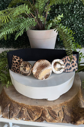 Kingston Belt Leopard