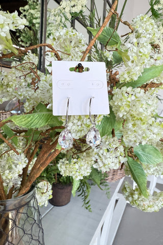 Natural Drop Earrings Silver Earrings BFF