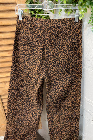 Apex Pants Brown by Entro Pants Entro