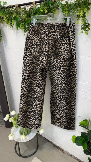 Jungle Jane Pants Taupe by Umgee