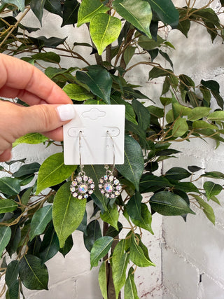 April Earrings Silver AB