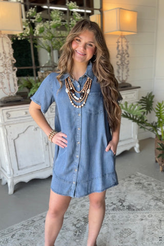 Deja Blue Dress Dk Denim