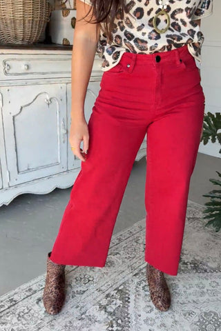 Tucker Pants Red Velvet by Easel Pants Easel