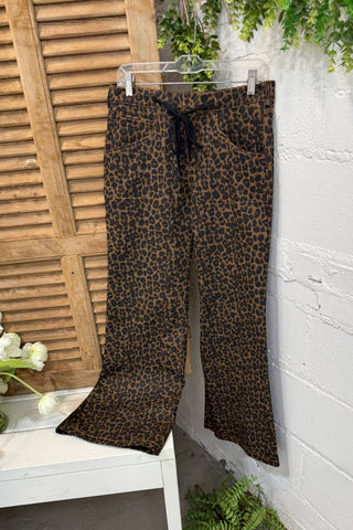 In Pursuit Pants Coffee by Gigio Pants Gigio