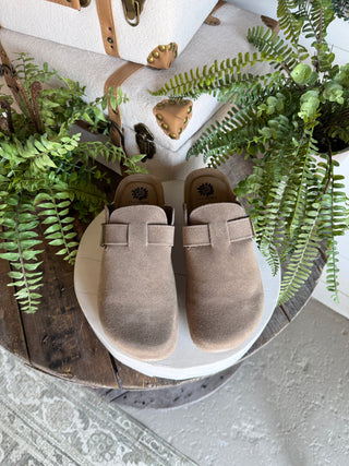 Maire Clogs Dk Taupe by Yellow Box Shoes Yellow Box