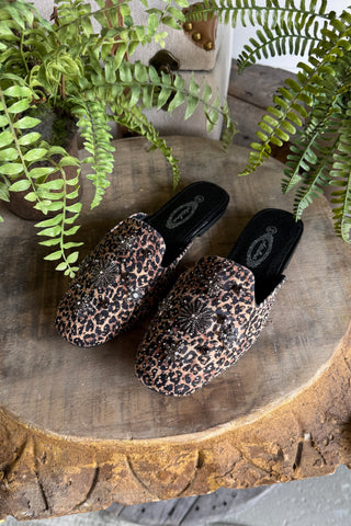 Prestige Flats Leopard