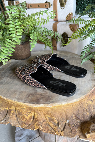 Prestige Flats Leopard