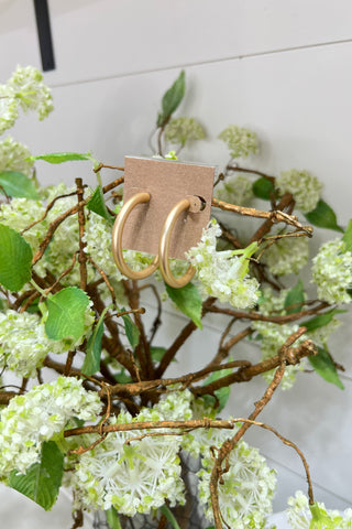 Bound Earrings Gold Earrings SM Style