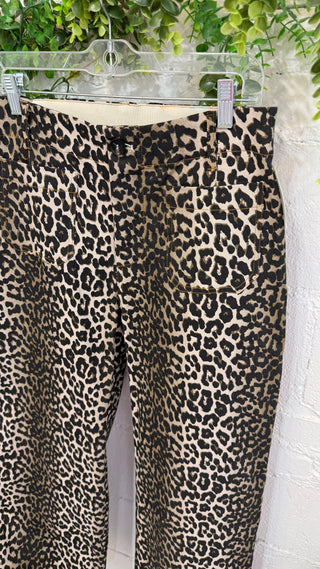 Jungle Jane Pants Taupe by Umgee