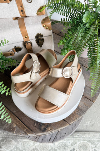 Gweneth Sandals Platino by Sofft Sandal Sofft