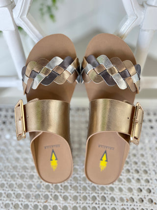 Morel Gold Slides by Volatile