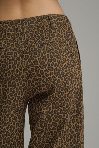 Apex Pants Brown by Entro